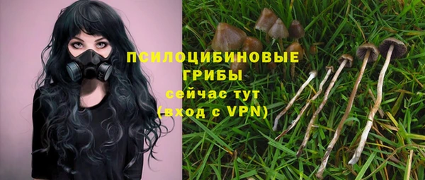 спайс Белокуриха