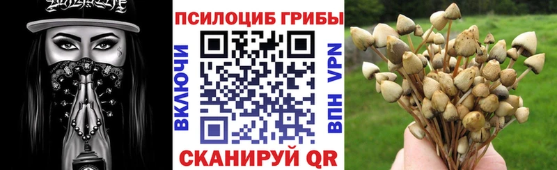 Галлюциногенные грибы ЛСД  как найти закладки  Заполярный 